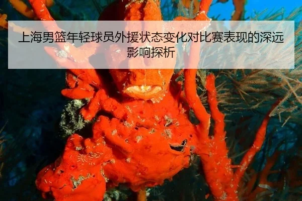 上海男篮年轻球员外援状态变化对比赛表现的深远影响探析